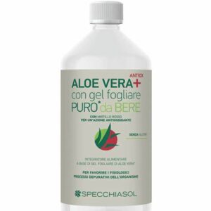 Aloe Vera al Mirtillo - 1000 ml