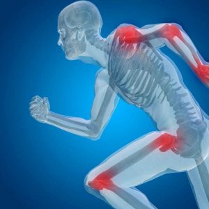 Ossa e Articolazioni